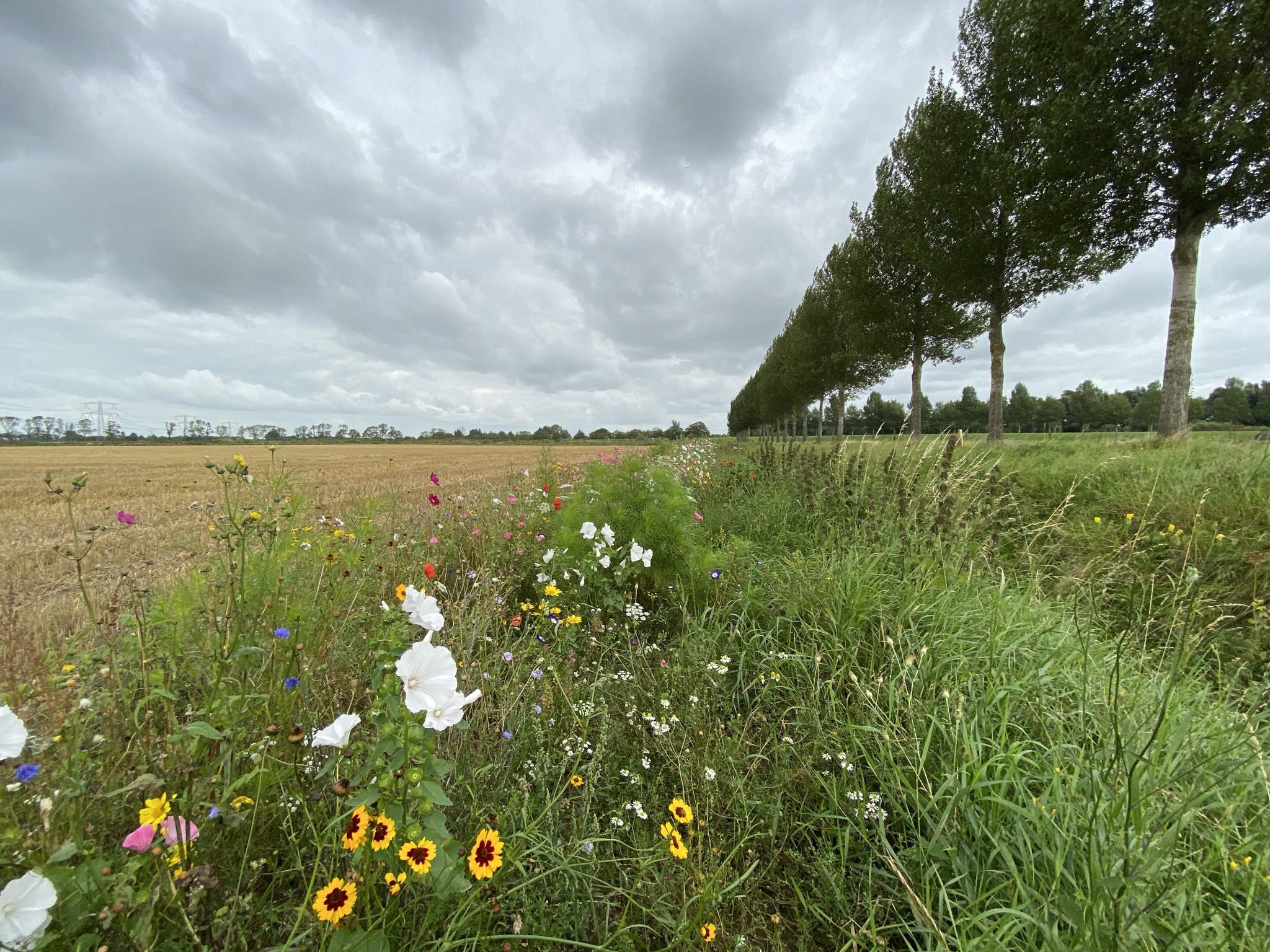 Netherlands